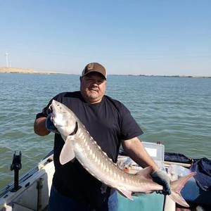 Meet your Posher, Darin